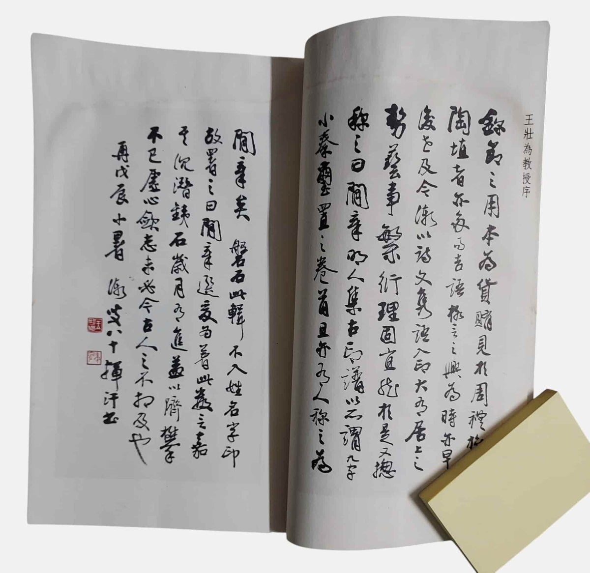 薛平南閑章選|上方有水漬|內頁