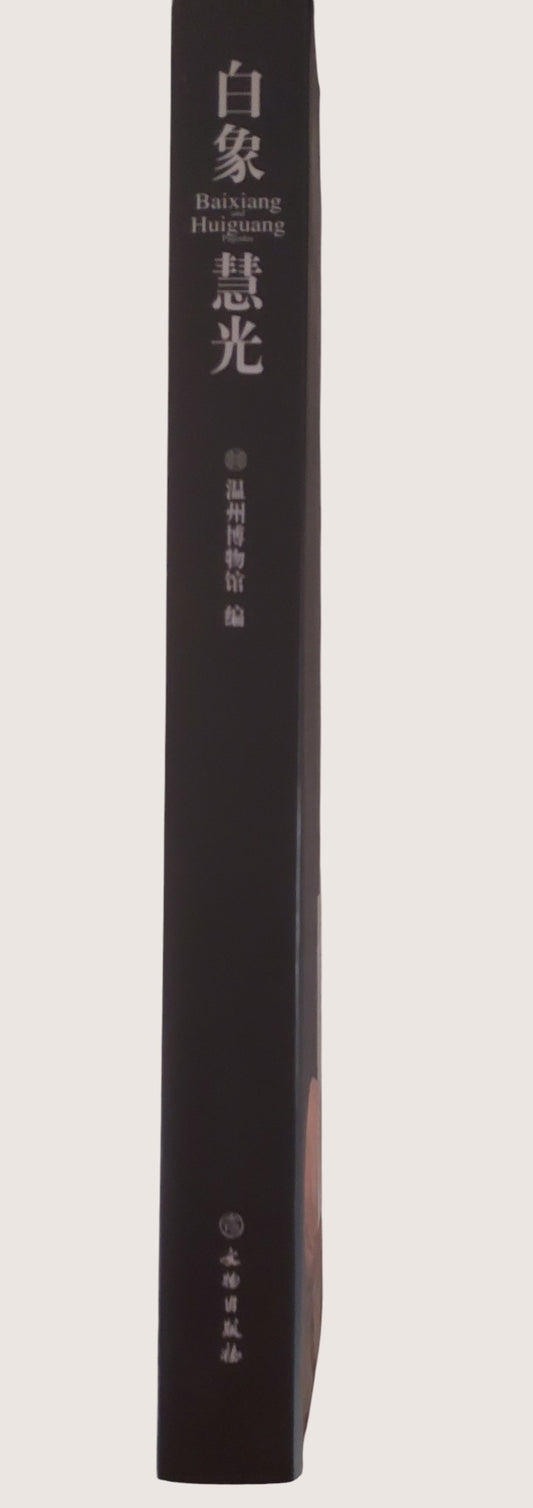 白象慧光：溫州白象塔、慧光塔典藏大全｜二手文物圖錄 | 書況如圖示