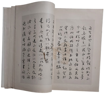 右任墨存｜內頁有黃漬及破損