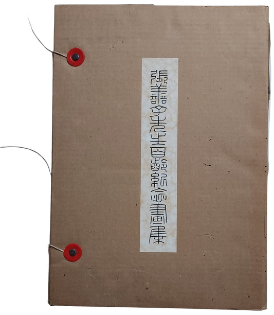 張善子先生百齡紀念畫集｜1971年出版｜張大千兄長｜書套封面
