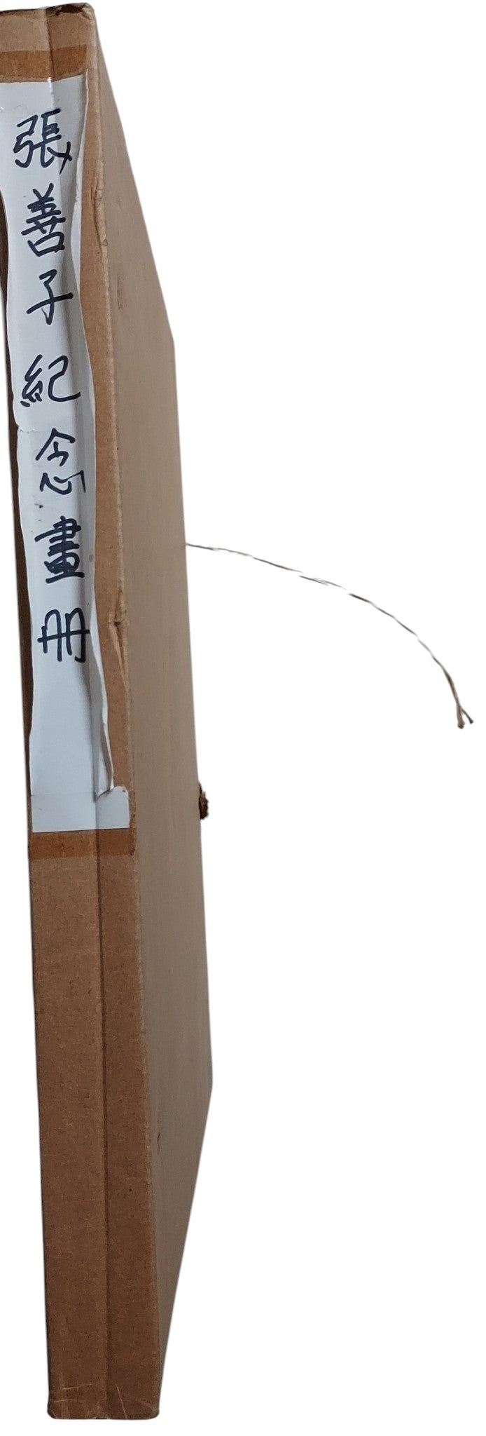 張善子先生百齡紀念畫集｜書背