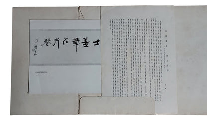 張大千墨筆花卉卷｜內頁