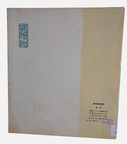 《喀什葛爾速寫》黃冑著 | 背面
