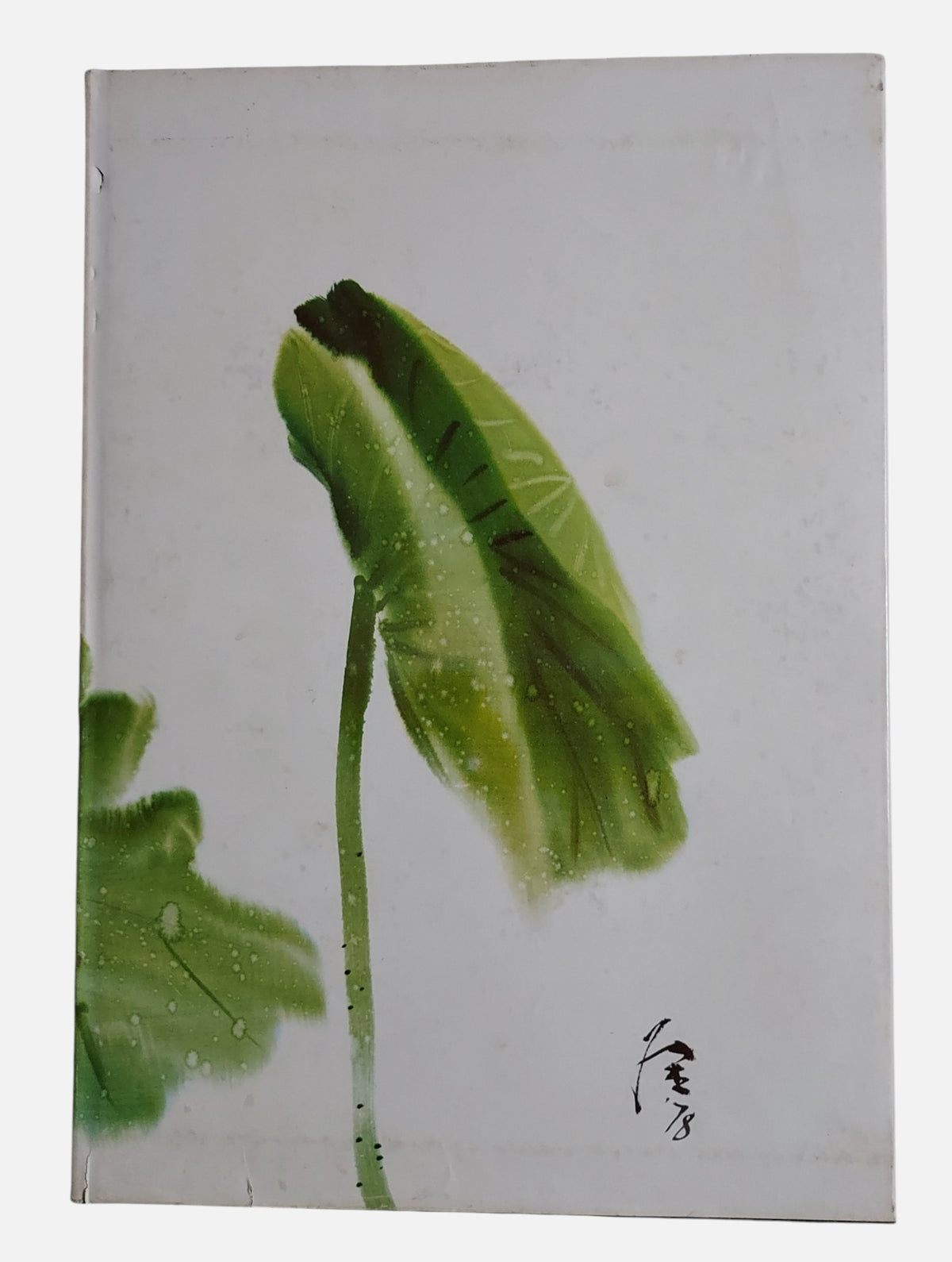 《張杰荷花、花卉專集》精裝套書 | 上冊背面