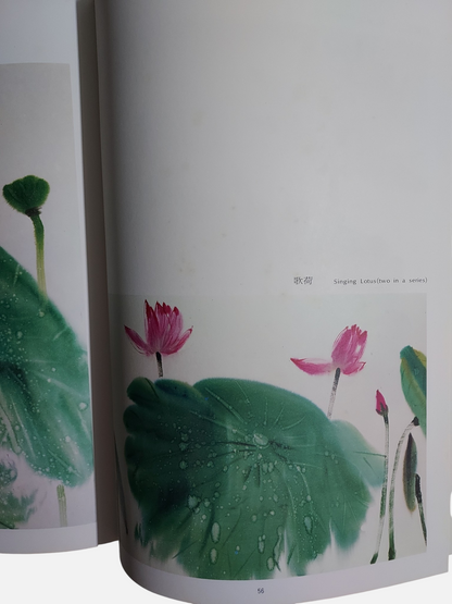 《張杰荷花、花卉專集》精裝套書 | 上冊內頁