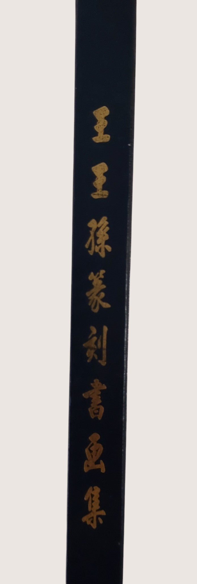 王王孫篆刻書畫集(精裝本) - 書背