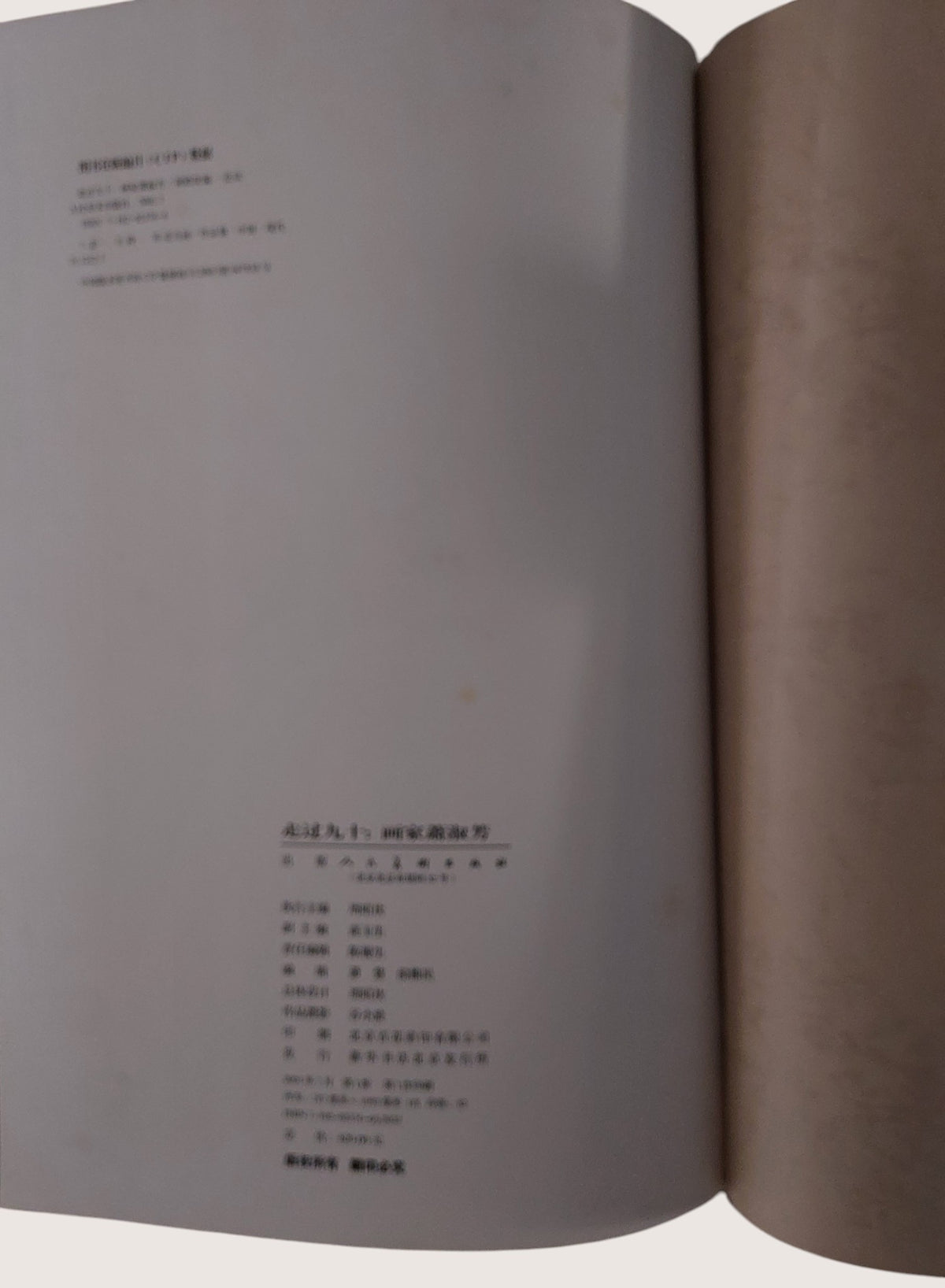 走過九十畫家蕭淑芳 - 書況良好